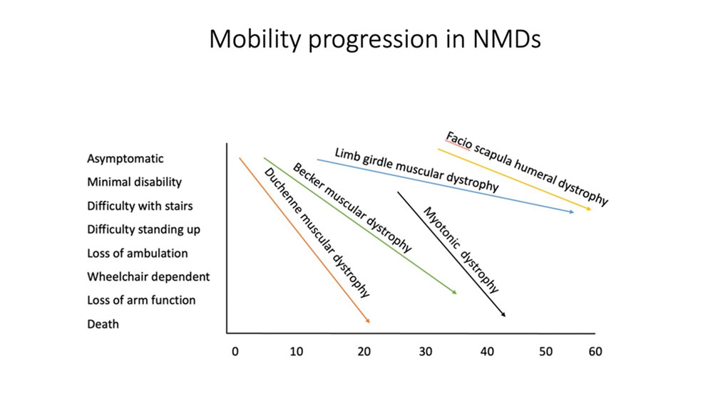 2-3-NMD-Mobility-Progressions-in-NMDs