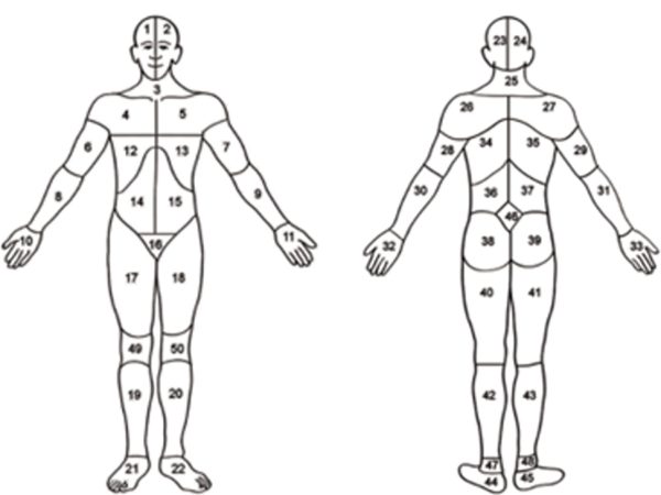 2-3-Pain-Visual-Analogue-Scale-Body-Chart